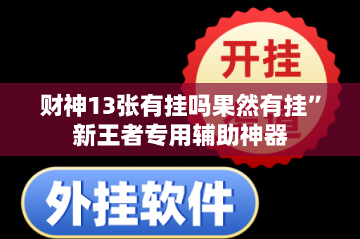 财神13张有挂吗果然有挂”新王者专用辅助神器