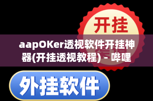 aapOKer透视软件开挂神器(开挂透视教程) - 哔哩