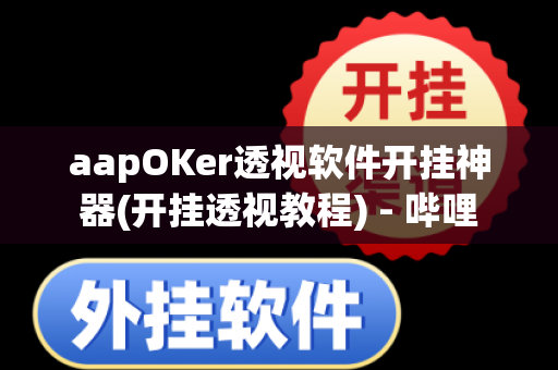 aapOKer透视软件开挂神器(开挂透视教程) - 哔哩