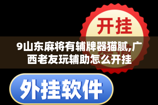 9山东麻将有辅牌器猫腻,广西老友玩辅助怎么开挂